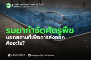 บริการรับรมยานอกสถานที่