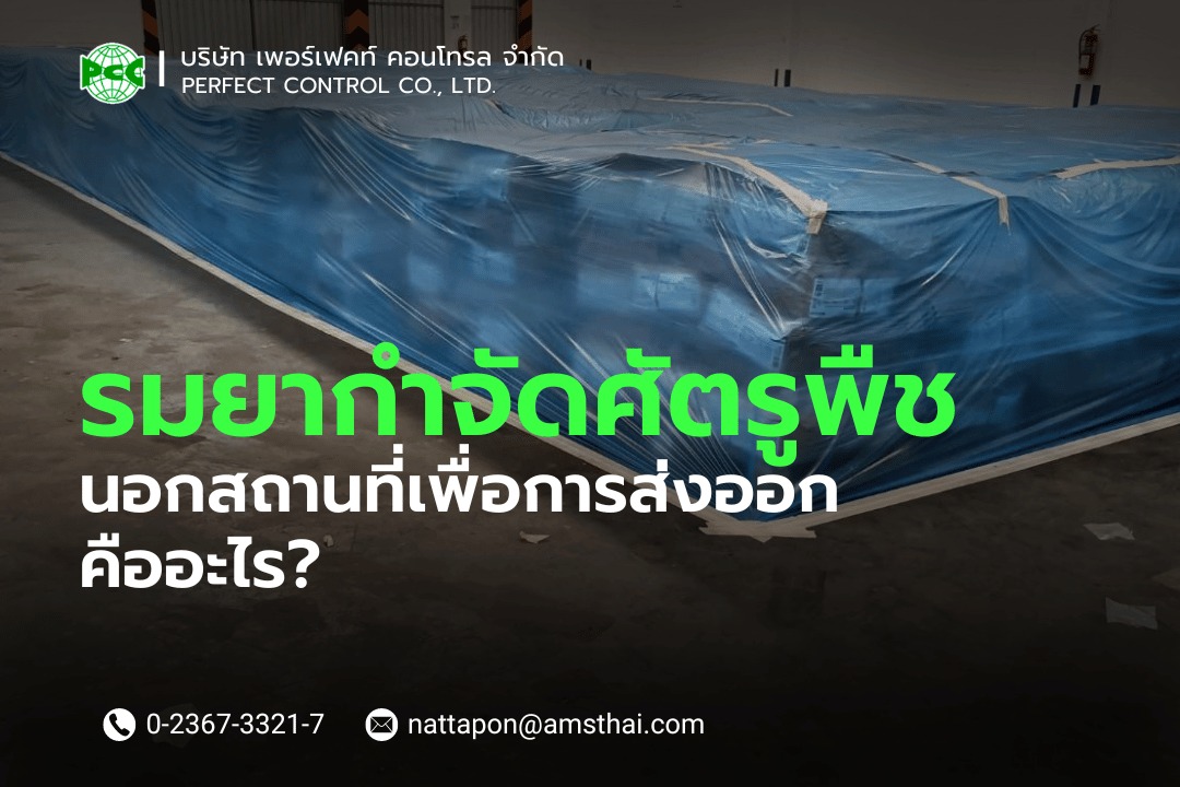 บริการรับรมยานอกสถานที่