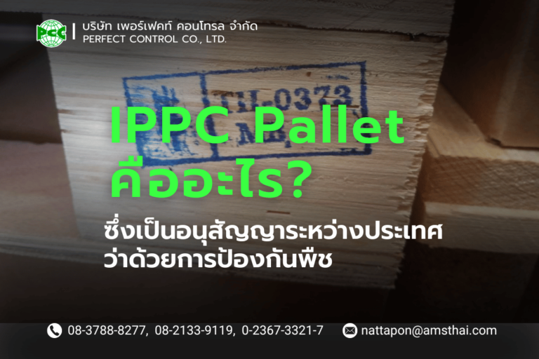 IPPC Pallet คืออะไร